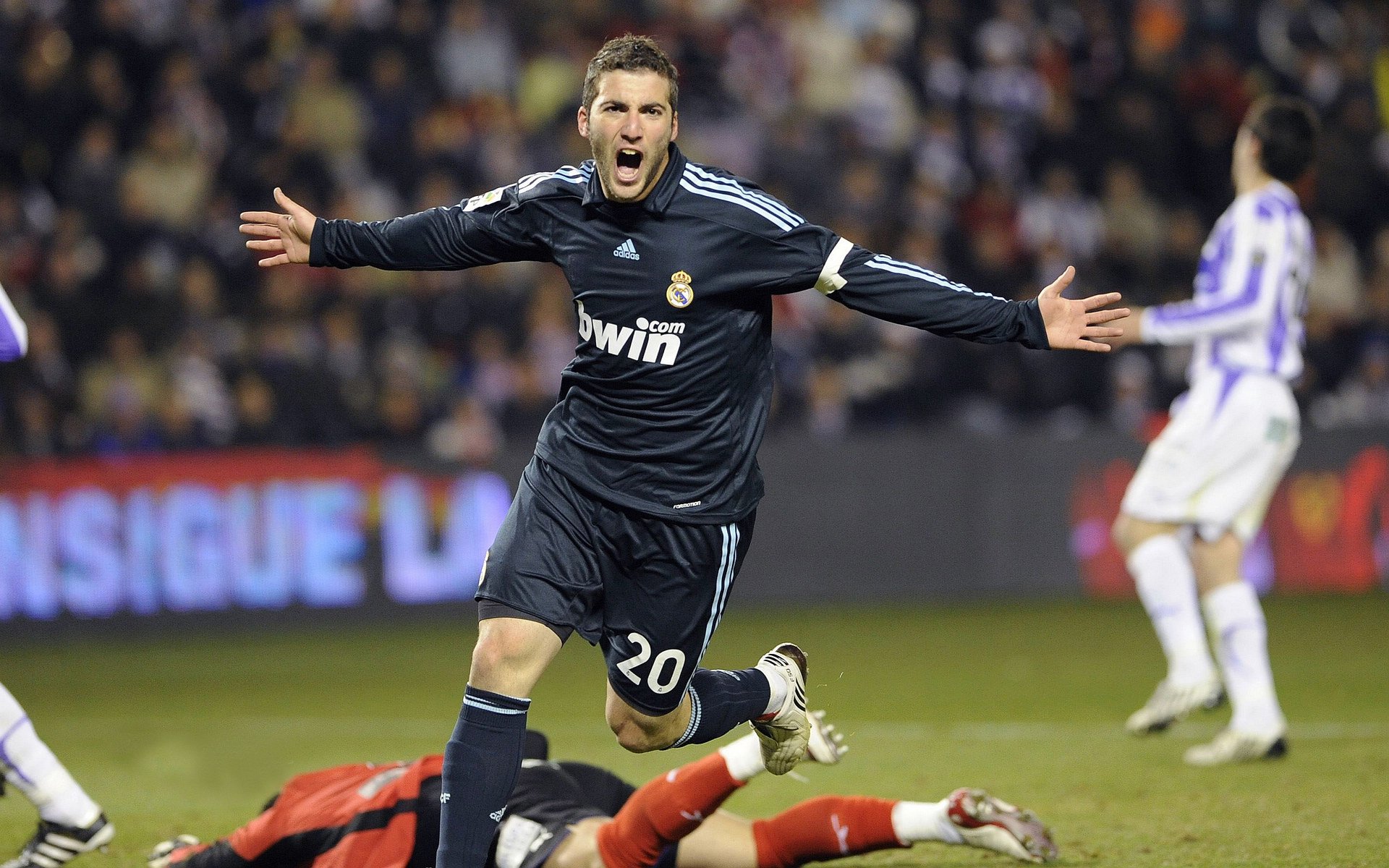 新西兰稳中带狠,一点不给对手机会,新西兰如何